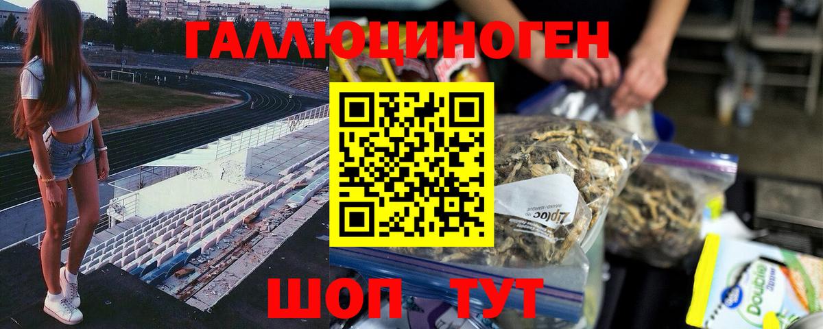 Галлюциногенные грибы Cubensis Каменка
