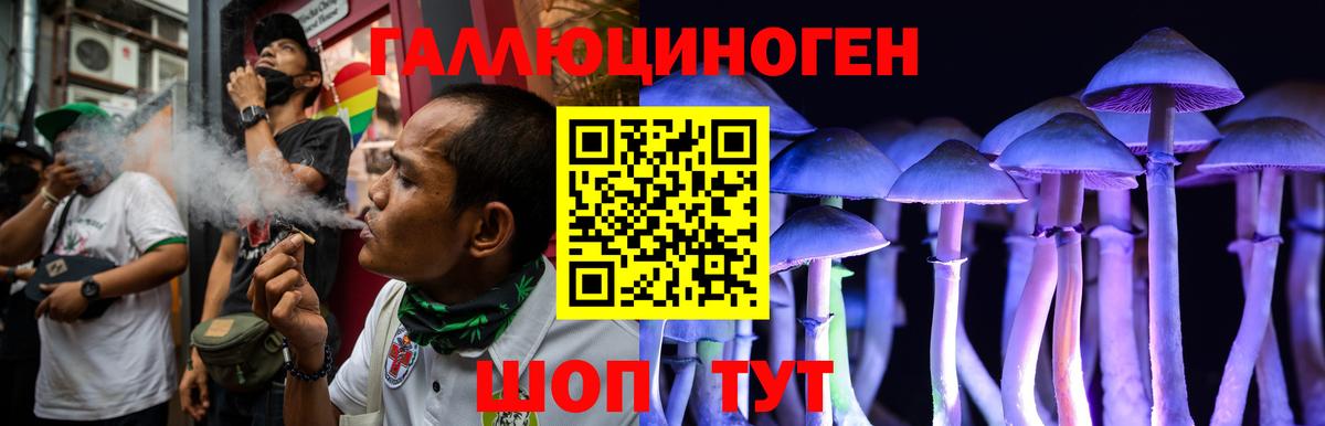 Галлюциногенные грибы Psilocybe  Вход с VPN  Каменка  Галлюциногенные грибы GOLDEN TEACHER 